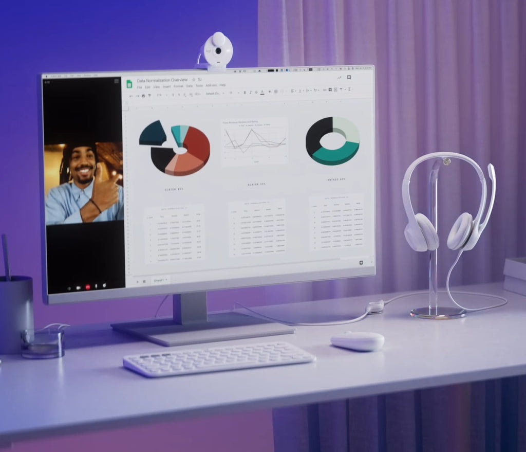 H390 USB Computer Headset