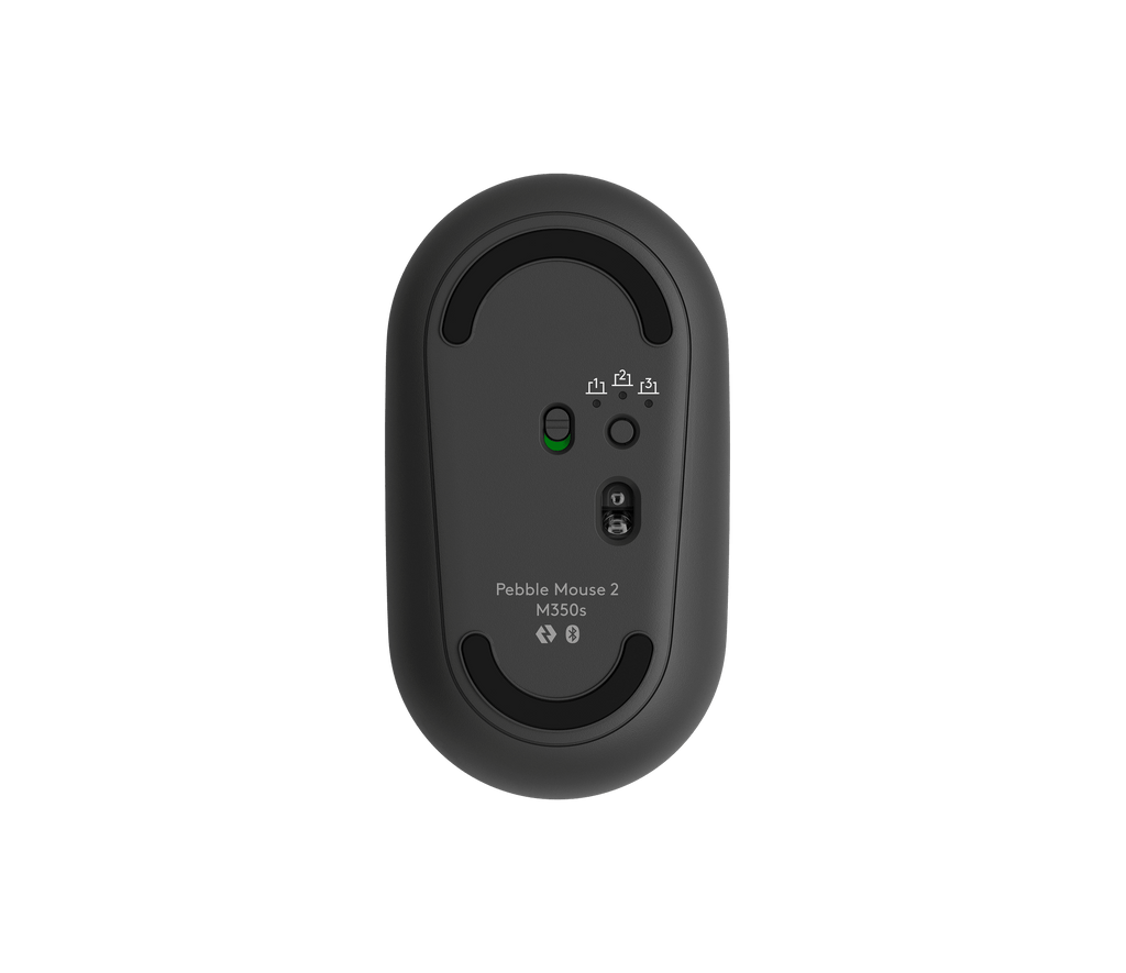 Pebble 2 Combo